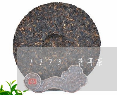 1973 普洱茶/2023031783735